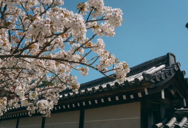 京都府の相談窓口｜探偵興信所一般社団法人大阪
