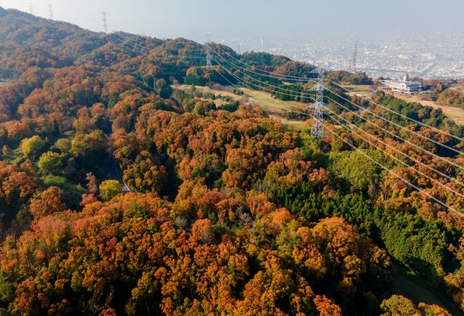四條畷市の相談窓口|探偵興信所一般社団法人大阪